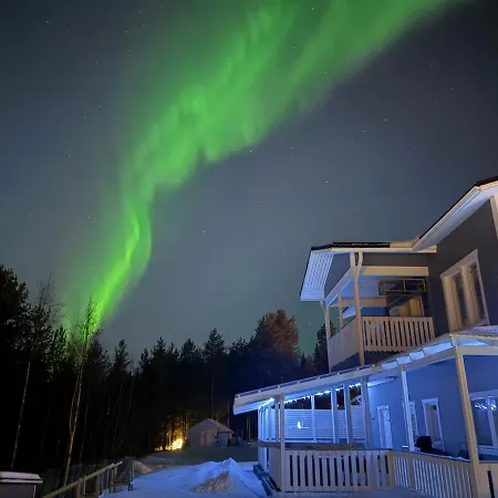 Forestflower * Rovaniemi