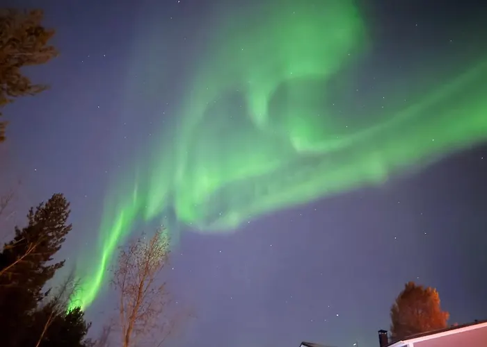 Daire Forestflower Rovaniemi