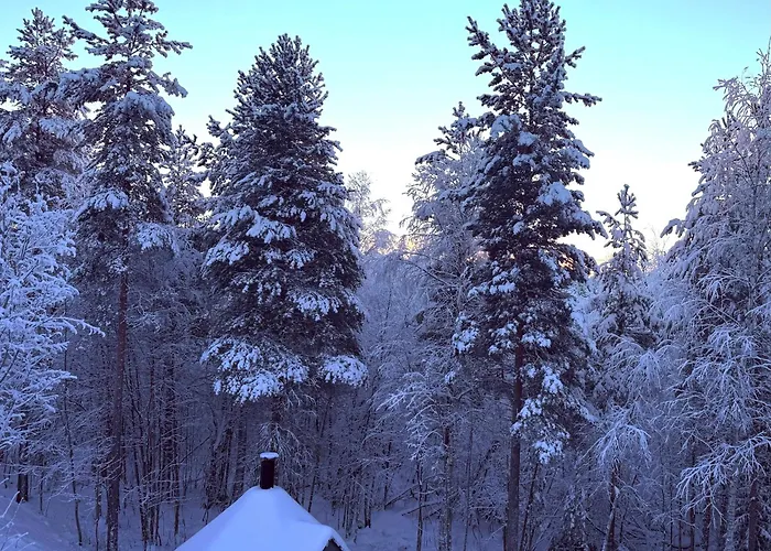 Daire Forestflower Rovaniemi